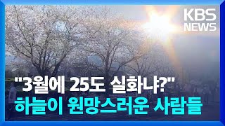 일찍 핀 봄꽃…지자체, 축제 어쩌나? / KBS  2023.04.02.