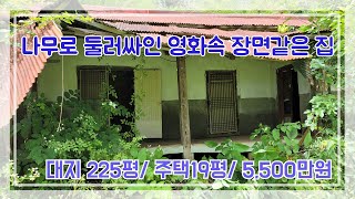 (매매완료) [빈집 중개] 나무로 둘러싸인 영화 속 장면 같은 집 / 대지 225평 + 주택 19평 / 5,500 만원