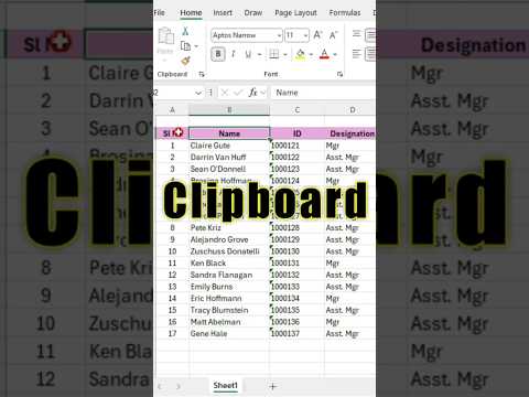 Best Use of Excel Clipboard