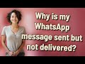 Why is my WhatsApp message sent but not delivered?
