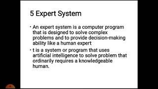 Expert system