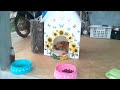 บ้านน้องหมาแสนน่ารักdiy ทำเองง่ายๆ how​ to​ pet​ house