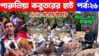 মাত্র ৪০০ টাকা জোড়া কবুতর |২০২৫ সালের সেরা অফার | kobutor hat 2025 | pigeon market in bangladesh