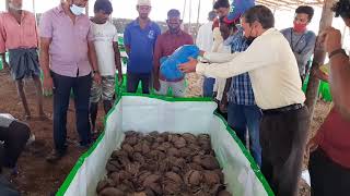 ತ್ಯಾಜ್ಯ ದಿಂದ ಎರೆಹುಳು ಗೊಬ್ಬರ ತಯಾರಿಕೆ. Vermicompost (vermi-compost)