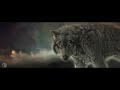 5.Wolf - Beautiful Creations Of Our Father