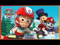 天天跟恐龍寶寶歷險記🤩 - PAW Patrol 汪汪隊立大功 - 兒童卡通