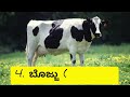 ಹಸು ಗರ್ಭಧಾರಣೆ ಸಮಸ್ಯೆಯೇ . ಇಲ್ಲಿದೆ ಸುಲಭ ಪರಿಹಾರ infertility in cow