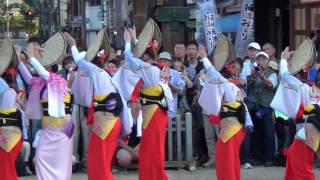 なにわ連2016-08-21 天神天満阿波踊り(天満宮構成）