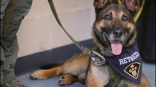 OPP K9 member Maximus retires after record-setting career