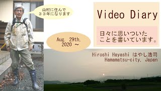 01580 Video Diary ライン理論で証明する「神は一人、ただ一人」説byはやし浩司Hiroshi Hayashi, Japan