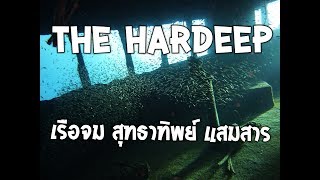 สำรวจ เรือจมสุทธาทิพย์ แสมสาร สัตหีบ Hardeep wreck dive