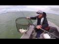 Reel kiwi fishing adventures - A few nice Snaps and a fun catch up fish with Pea