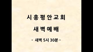 2021.1.5 시흥평안교회 새벽예배