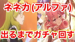 【プリコネR】ネネカ(アルファ)出るまでガチャ回します！果たして無料10連で引けるのか？！