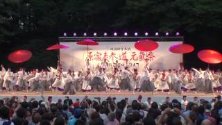 しん・元氣祭大賞受賞演舞 ～2013スーパーよさこい