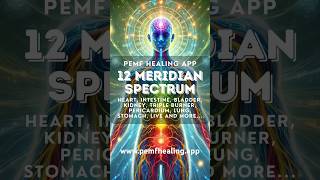 #meridian #spectrum #frequency #healing #pemf #pemfhealing