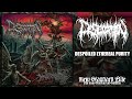 DESECATION - DESPOILED ETHEREAL PURITY [FULL-LENGTH] (BRUTAL DEATH METAL | GOREGRIND - 2026)