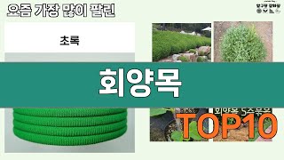 가장 많이 팔린 회양목 추천 Top10!