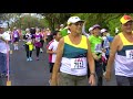 excellent live video of honolulu hawaii marathon