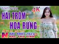 Hái Trộm Hoa Rừng, Chuyện Hoa Sim🛑 Nhạc Trữ Tình Hay Nhất 2023 - Lk Bolero Nhạc Vàng Xưa Bất Hủ