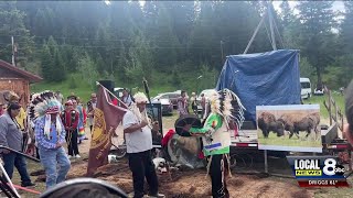 Tribes honor the birth of a rare white buffalo calf in Yellowstone