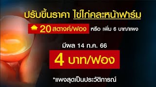 ขึ้นอีกแล้ว! ไข่คละหน้าฟาร์ม พุ่งฟองละ 4 บาท มีผล 14 ก.ค.นี้ เปิด 3 ปัจจัย ทำไข่ขึ้นราคา