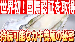 【世界初のMSC認証】生まれも育ちも邑久町！岡山・邑久町の持続可能なカキ養殖　日本財団 海と日本PROJECT in 岡山 2024 #22