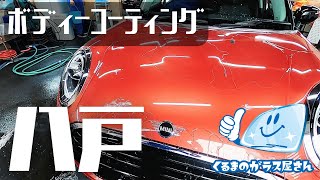 【ボディーコーティング】プラチナコート：親水タイプ