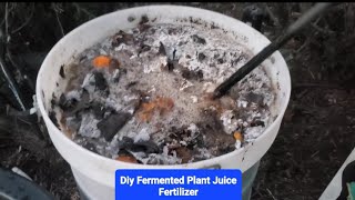 Diy Fertilizer: Fermented Plant Juice: JADAM