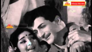 Jum Jum Thummeda Padindi - "Telugu Movie Full Video Songs"  - Chitti Chellelu(NTR,Vanisree)