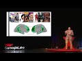 building memories in the brain chris baldassano tedxcarnegielake