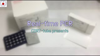 Real-time PCR by SYBR green