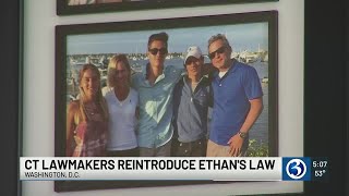 Connecticut lawmakers push to pass Ethan’s law at the federal level