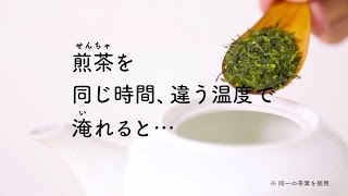 キリン 世界のKitchenから　「温度と煎茶」篇 15秒