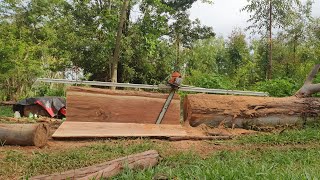 CHAINSAW RAIL REVIEW | WOODWORKING FOR HOMESTEAD | AGROFORESTRY PRACTICES