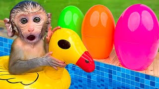 Monkey Baby BonBon got a new car and swim with cute ducks