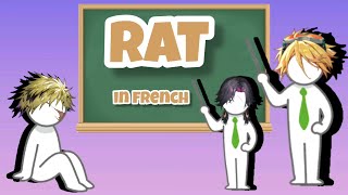 WILSON and VEZALIUS teaches VANTACROW French