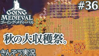 冬の巣ごもり準備。中世ヨーロッパ村再建物語〜サンドボックスコロニーシミュレーションゲーム実況プレイ【Going Medieval／ゴーイング・メディーバル日本語版】#36 (PC／Steam)