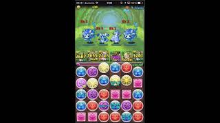 無課金パズドラ 水の猫龍 中級 アテナ編