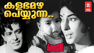 Kalabhamazha Peyyunna | Kuttavaali (1970) | P Susheela | Vayalar Ramavarma | V Dakshinamoorthy