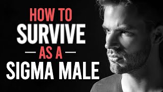 How To Survive as a Sigma Male (Especially The Immature Ones)