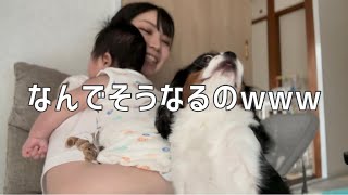 母ちゃんの膝の上争奪戦