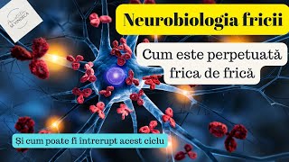 Episod 9: Neurobiologia fricii