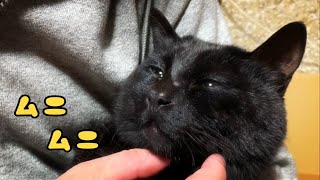 おくちムニムニ揉んだろ♪(モンダミンのリズムで) Face Massage