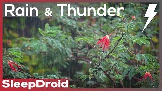 ► Rain and Thunderstorm Sounds for Sleeping ~10 hours of Relaxing Rain (Lluvia para dormir)