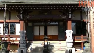 松林寺　埼玉県所沢市林2-147