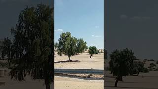 सुनसान रेगिस्तान के बीच में बसा एक सुंदर गांव #shorts #viral #desert #village #journey