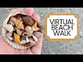 ASMR Virtual Beach Walk - Sanibel Island