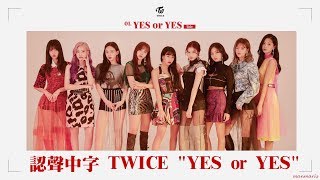 【認聲/繁中字】TWICE 트와이스 - YES or YES