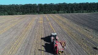 Pumpkin Seed Harvesting with Moty - Statev 2020